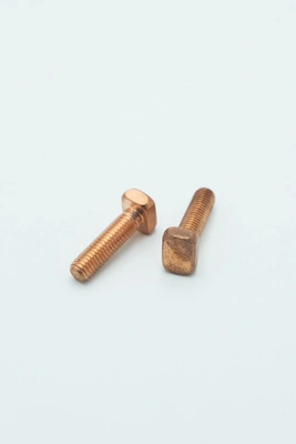 전도성 비 표준 잠그개, 골프 카트를 위한 M8x30mm T 모양 나사