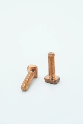 정연한 머리 T 모양 나사 M8x30mm 강철 C1022 물자 17.59g 무게