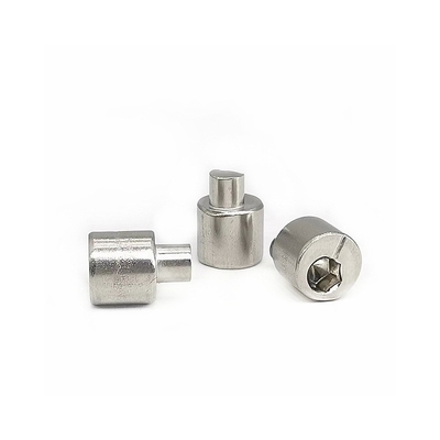OEM / ODM GB 이상한 조절 나사 4.9X13은 SUS304 빈 표준을 닦았습니다